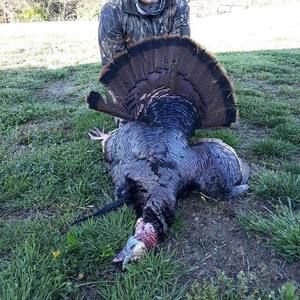 Meet your Posher, Dylan